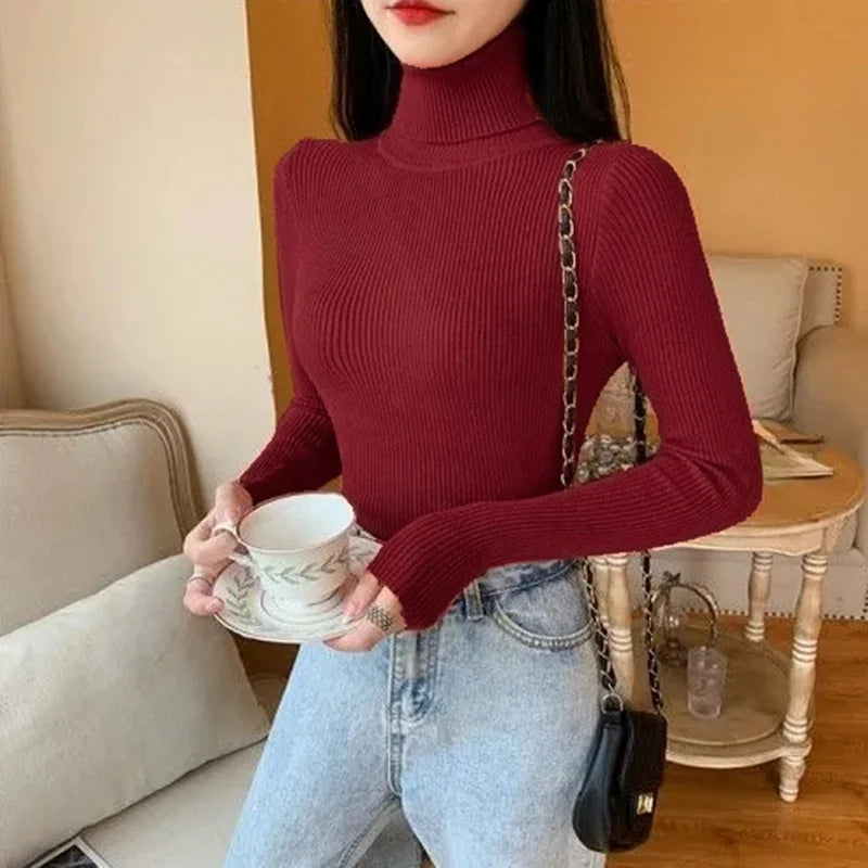 Slim Turtleneck Sweater Women Knit Thermal Winter Top